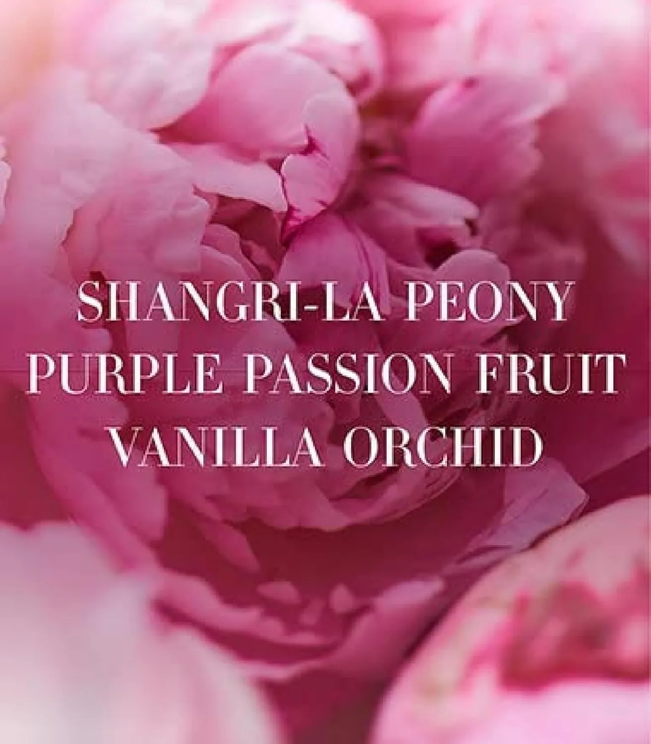 Victoria's Secret Fine Fragrance Bundle Bombshell